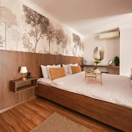 公寓 Modern & Casual Apertment In Sisli