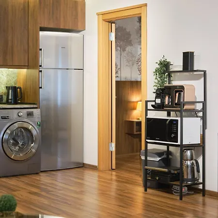 Modern & Casual Apertment In Sisli *